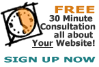 FREE 30 minute web site consultation